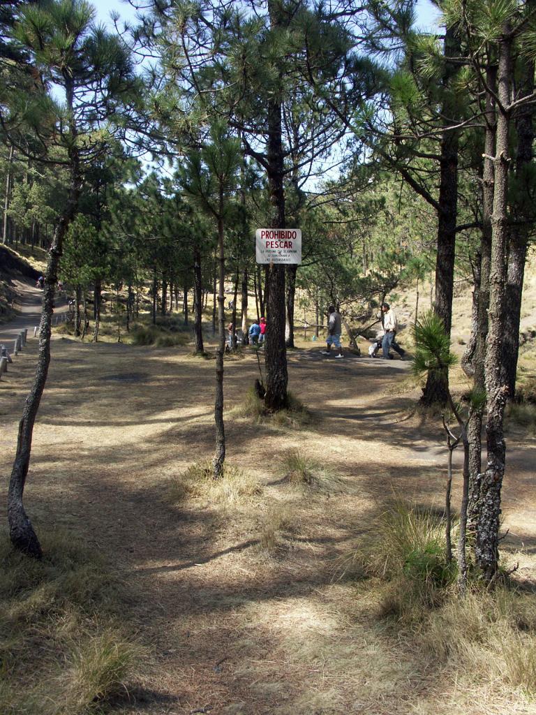 100214_Paso_de_Cortes 041.JPG